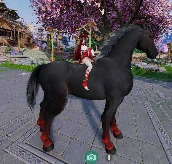 吾家有妻初长成番外全集,吾家有妻初长成剧情介绍