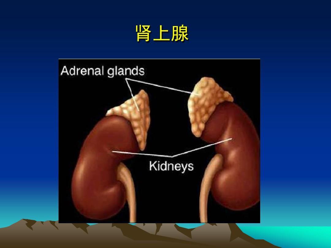 肾上腺皮质功能亢进症检查,肾上腺皮质功能异常症状