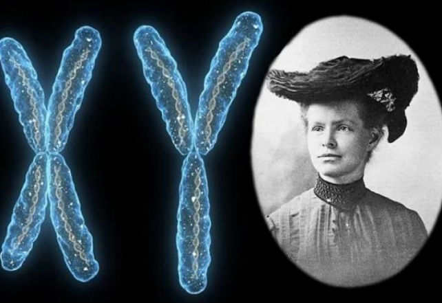 真正聪明的科学家,你不知道的最牛科学家