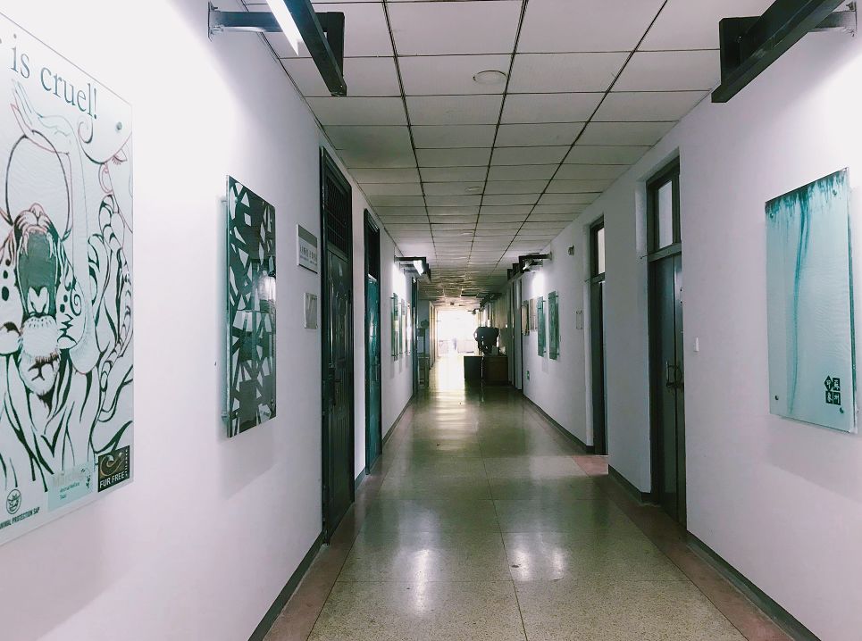 石家庄学院合集,石家庄学院校内