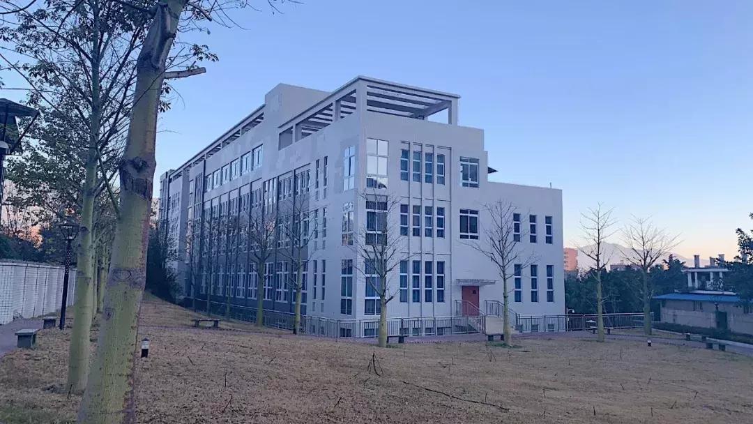 网红拍照滤镜怎么调的,拍出网红照滤镜