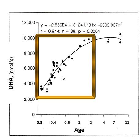 被称为脑黄金的是什么物质,宝宝人生的第一粒脑黄金dha