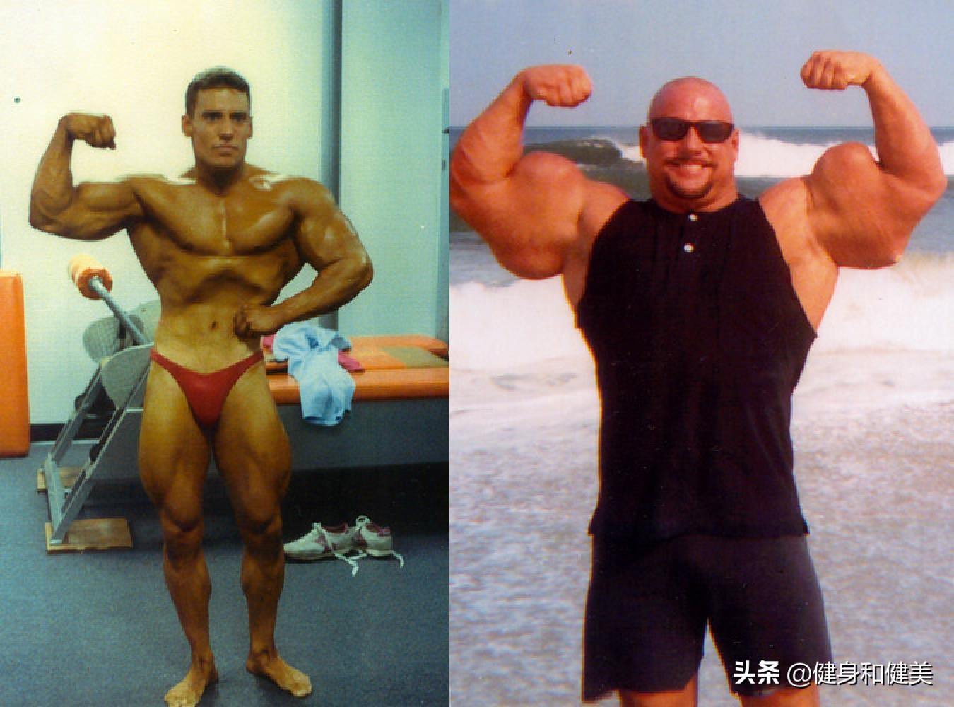 ifbb职业奥运选手,ifbb职业健美运动员