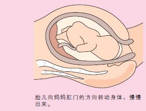 宝宝顺产出生的过程,剖腹产的小孩比顺产的小孩胆小吗