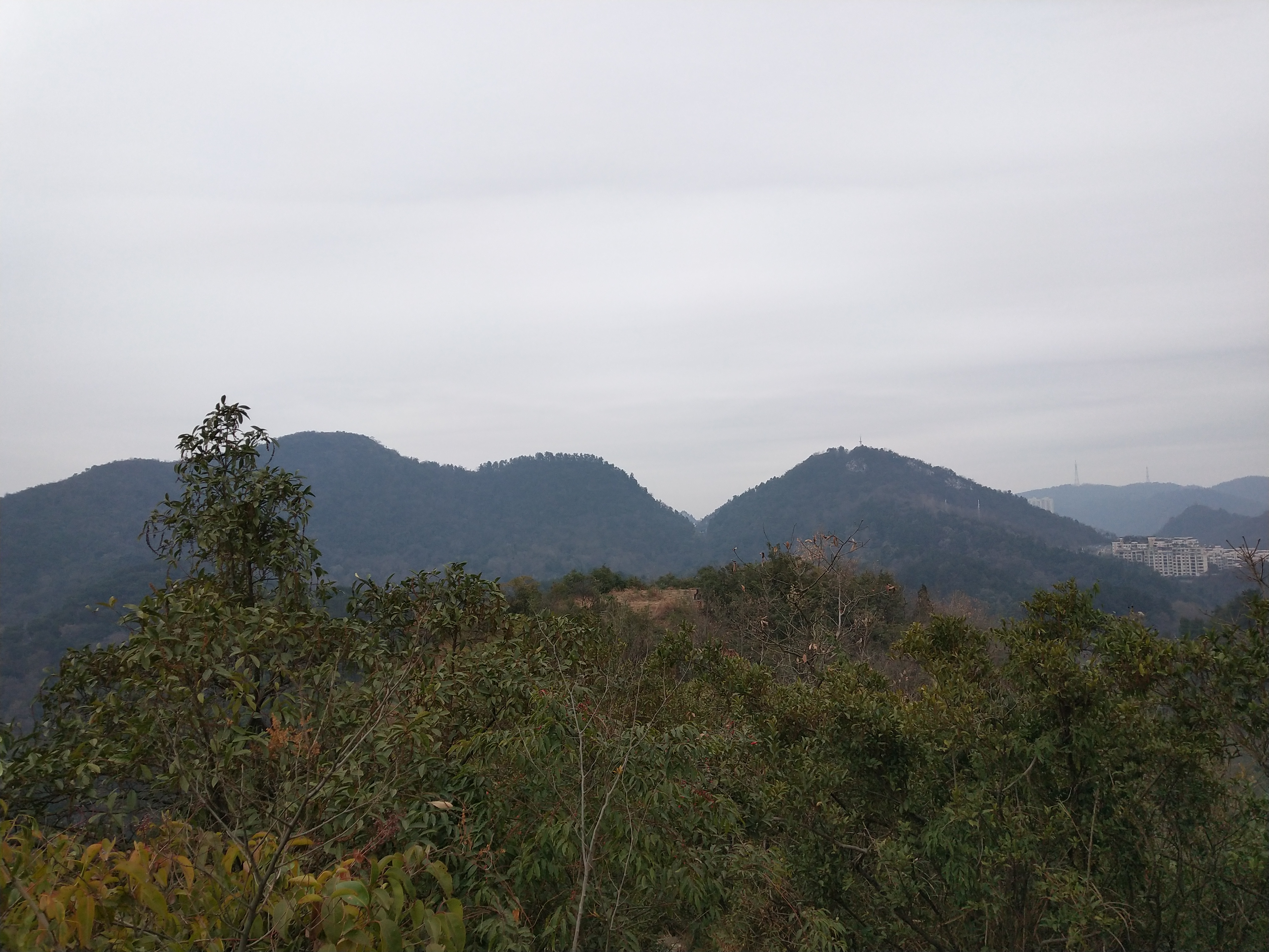 微游贵阳:深度玩透黔灵公园之自然风景