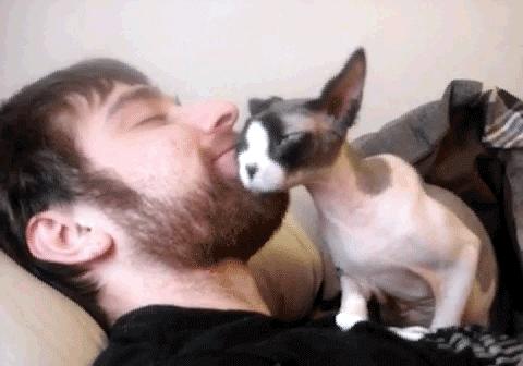 为什么养猫的人越养越多,养猫人越早知道对猫咪越好的事情