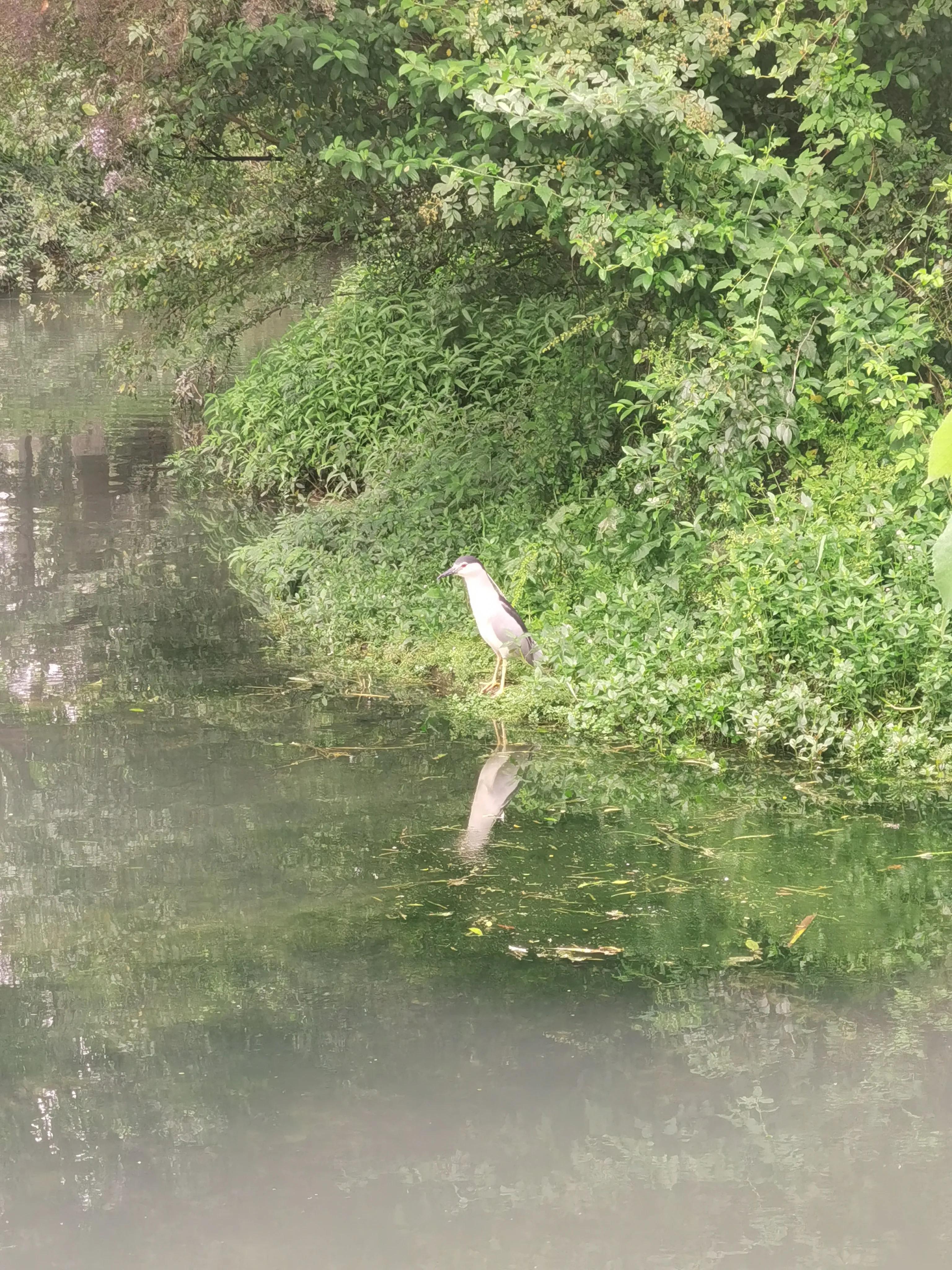 谈谈如何正确面对抑郁症500字,谈谈抑郁症的防治