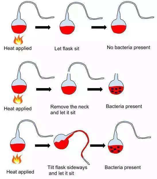 一口气搞懂可控核聚变,一口气懂历史