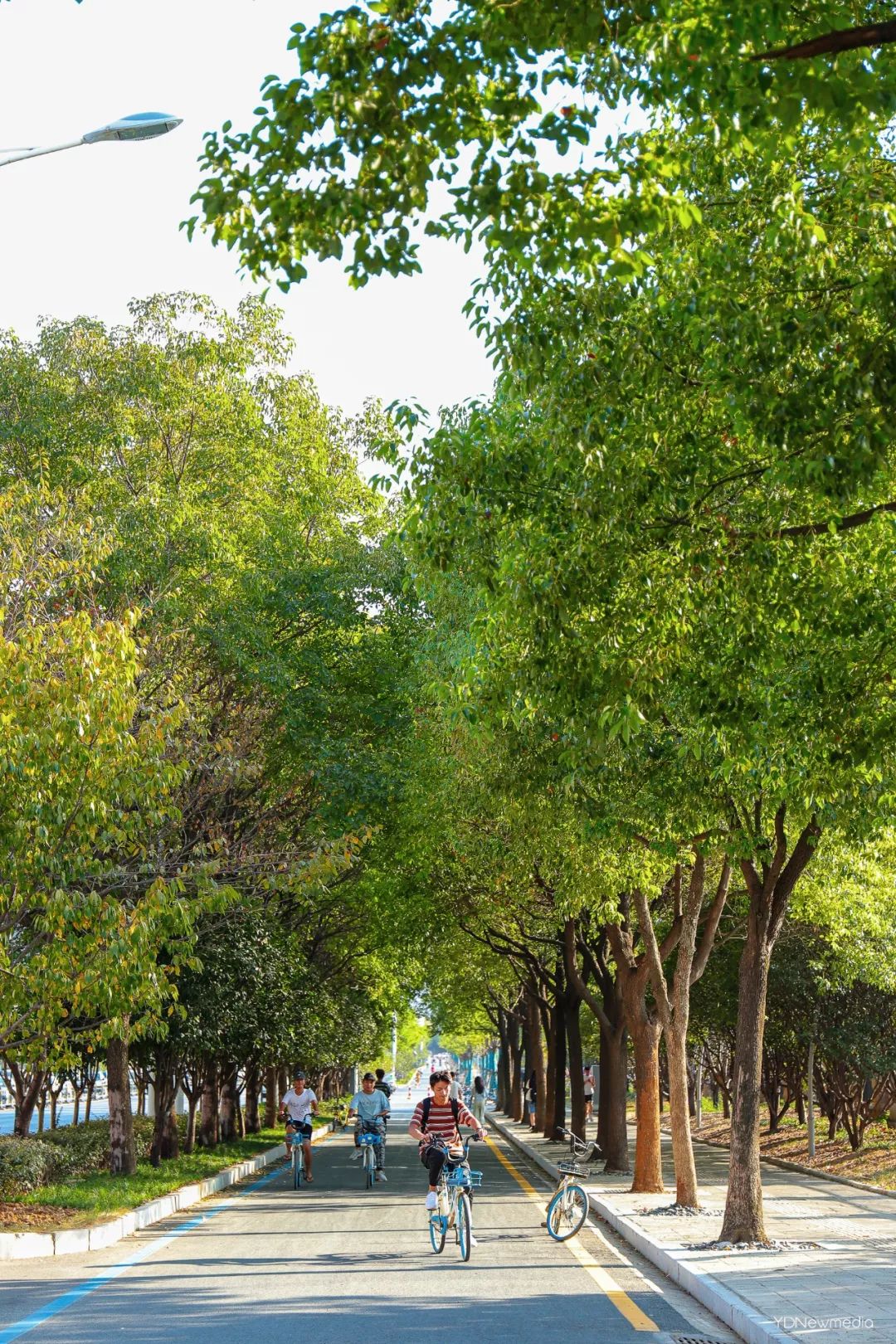 停止散发魅力,停止散发魅力吧怎么回复