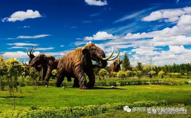 冬天呼伦贝尔大草原自驾游攻略,呼伦贝尔大草原深度游