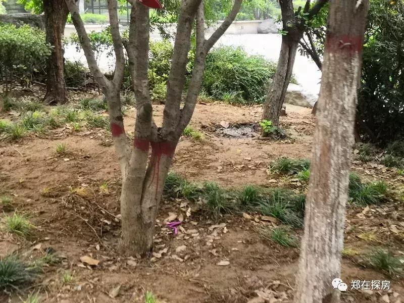 中原区锦艺国际华都,郑州中原锦艺城房价