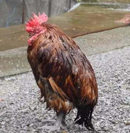 墙壁脏了怎么办最简单的方法,脏墙壁如何让墙壁变白小妙招