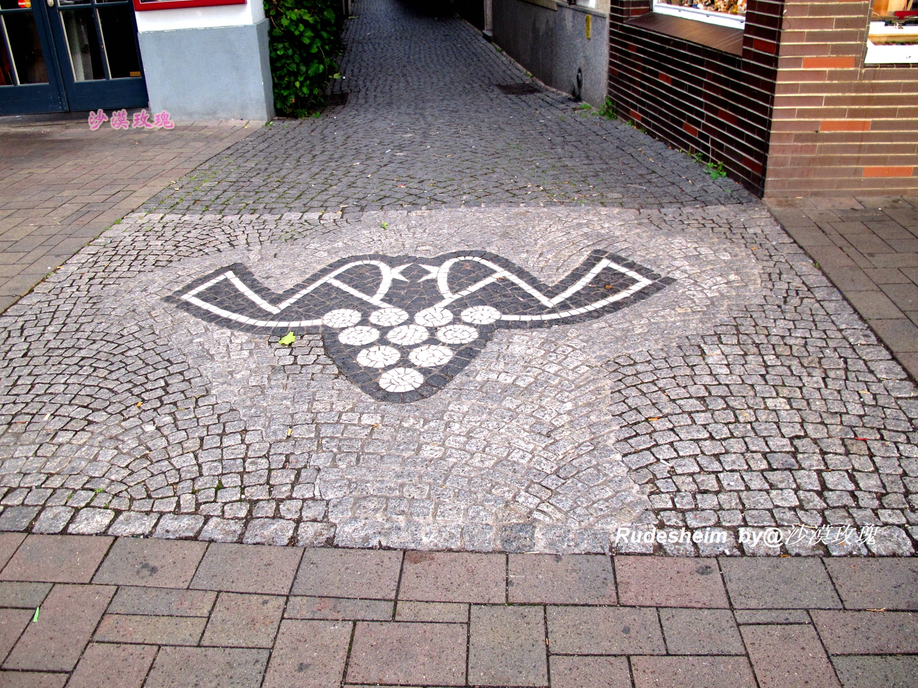 莱茵河葡萄酒小镇,莱茵河畔的葡萄小镇