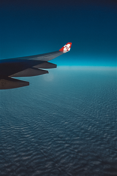 在音乐里奔跑,在激昂悦耳的旋律中奔跑