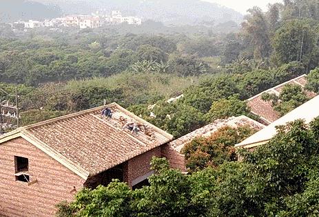 放弃世界顶尖银行工作，他回村当木匠，在废墟上盖出了爆美小院！