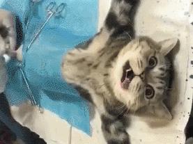 有过夫妻生活,那层膜就一定会破吗?