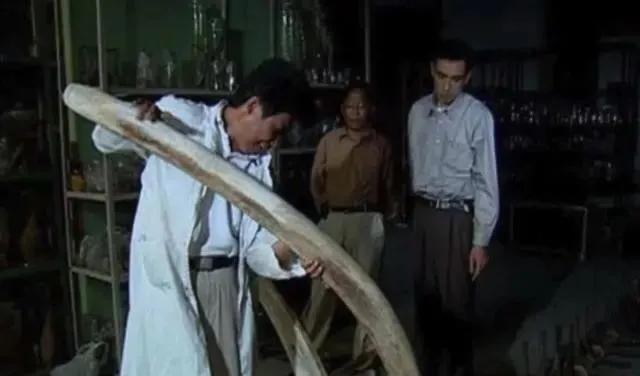 老人说见过龙,老人说看见龙是真的吗