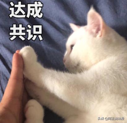 看这个大佬的动画，10个人有9个都会晕过去