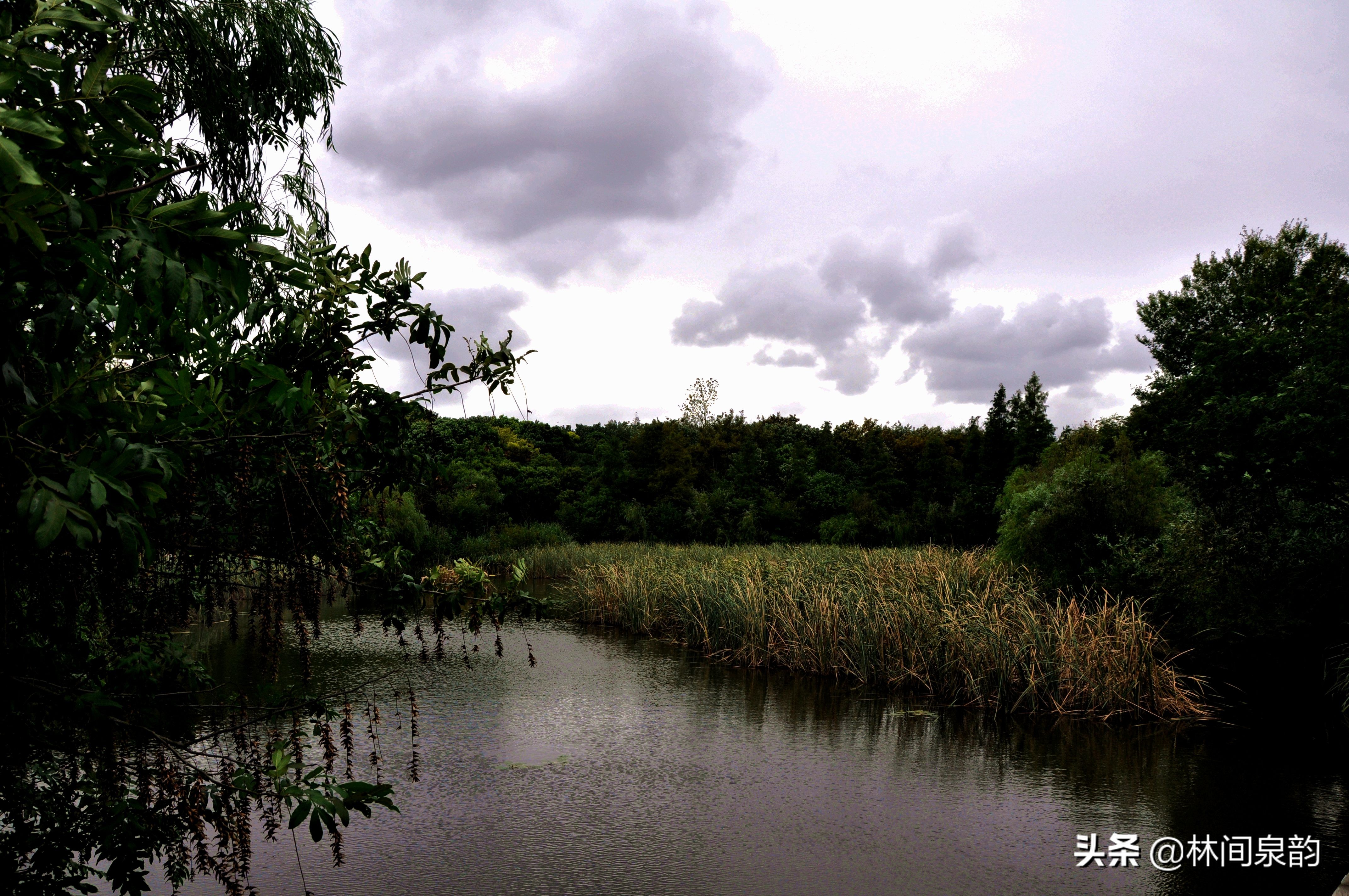 昔日守护边关今朝守护青山,昔日锁江炮台