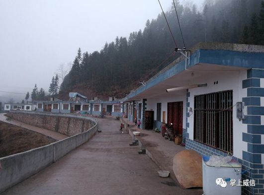 鏉ㄦ椽鍒氬勾鏀跺叆澶氬皯,濞佷俊澶ф渤闀囨潹娲垰