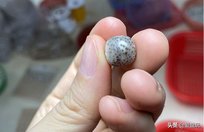 他用白醋泡了一颗星月，打灯一看，玉化了……