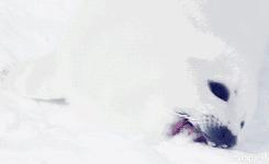 深圳旅游攻略登山,深圳游玩冲浪路线攻略