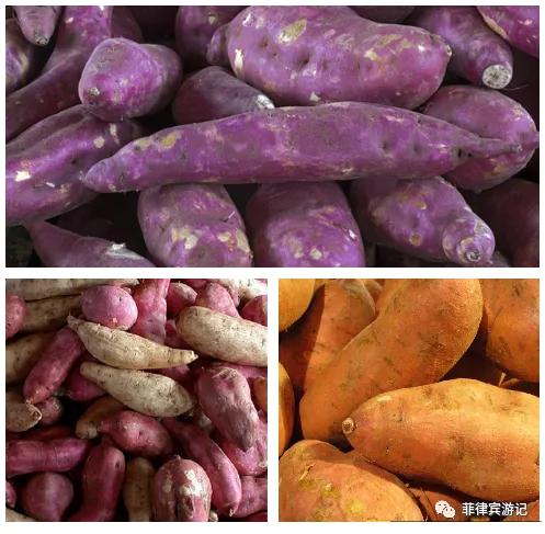 菲律宾青菜价格表,菲律宾蔬菜为什么那么贵