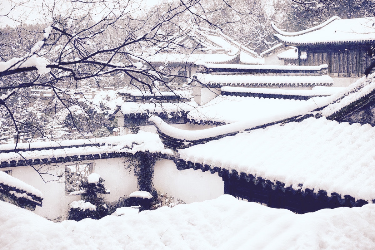 发现婆家人都很阴暗怎么办,发现婆家算计自己怎么办