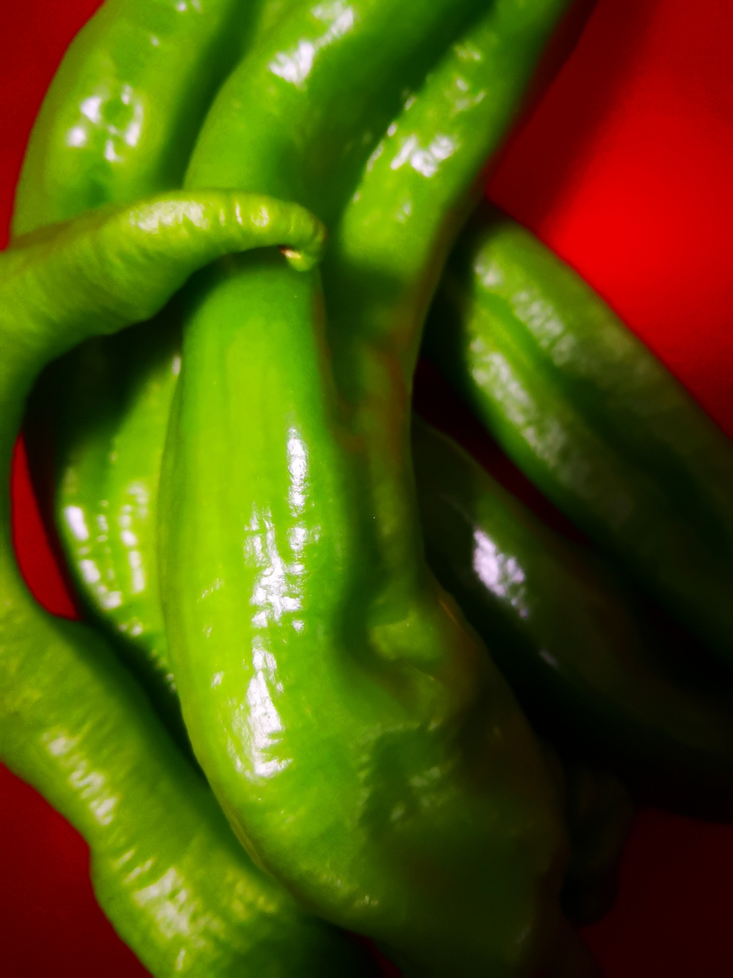 海带排骨怎么才没有海带的腥味,凉拌鲜海带怎么除去海带腥味