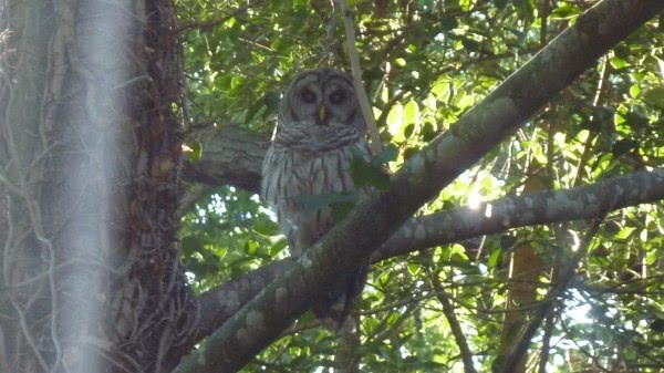 拇指测距最高可以测多远,拇指测距法能测多远