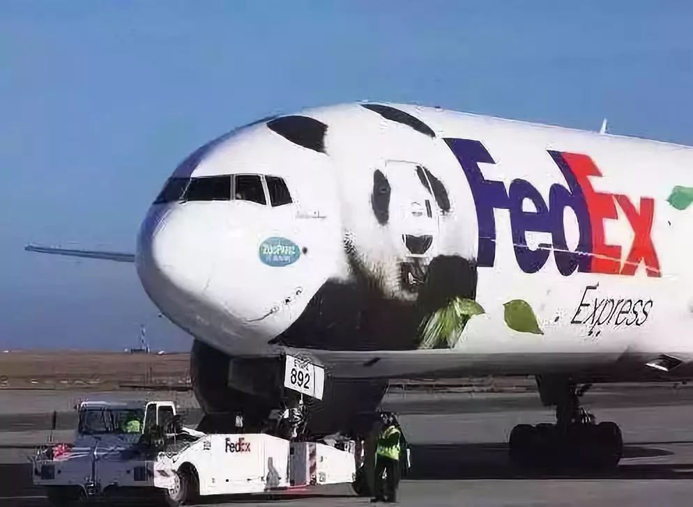 为什么全世界都喜欢大熊猫,世界各地的人们都喜爱大熊猫英语