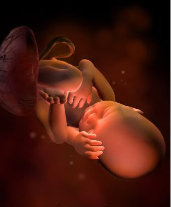 怀孕9周宝宝发育过程的视频,孕9周3天胎儿发育情况图