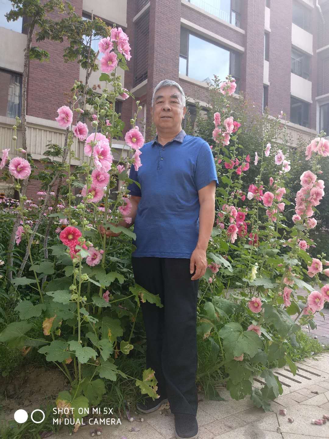 老部长散文完整版,徐立文扮演者