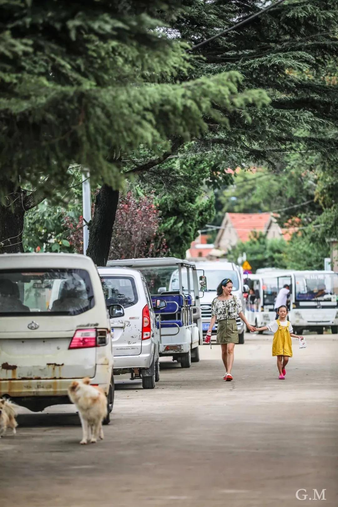 雨天如何玩西海岸,前往西海岸攻略路线