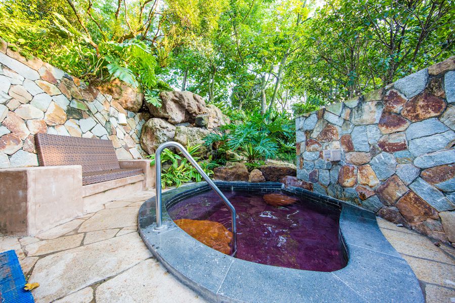 广州摘荔枝玩水,广州摘水果泡温泉