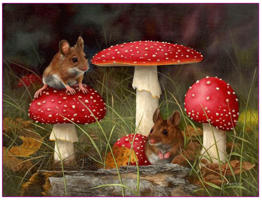 美丽的城堡绘画,儿童画城堡绘画教程