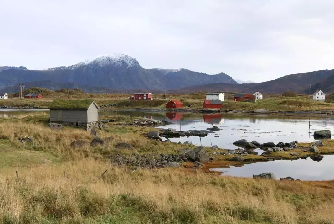 好看的风景照片p图教程手机,随便拍的风景图如何p图