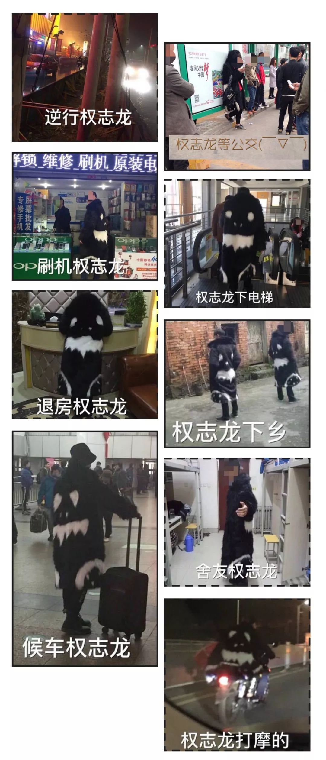 杨幂买家秀和卖家秀,杨幂买家秀视频