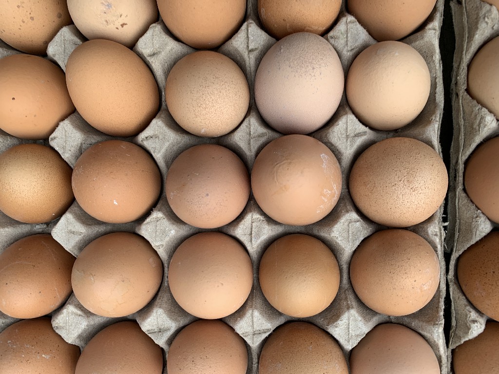 腌鸡蛋只放盐的做法,腌鸡蛋最好吃的方法不放盐