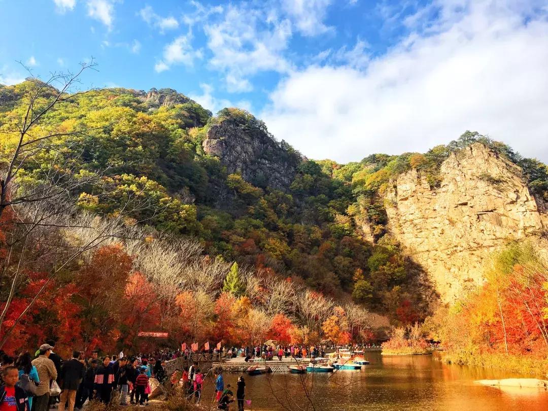 秋天来本溪赏枫叶,醉美枫叶季