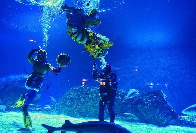 大阪游记|第一次带娃去这些地方就对了