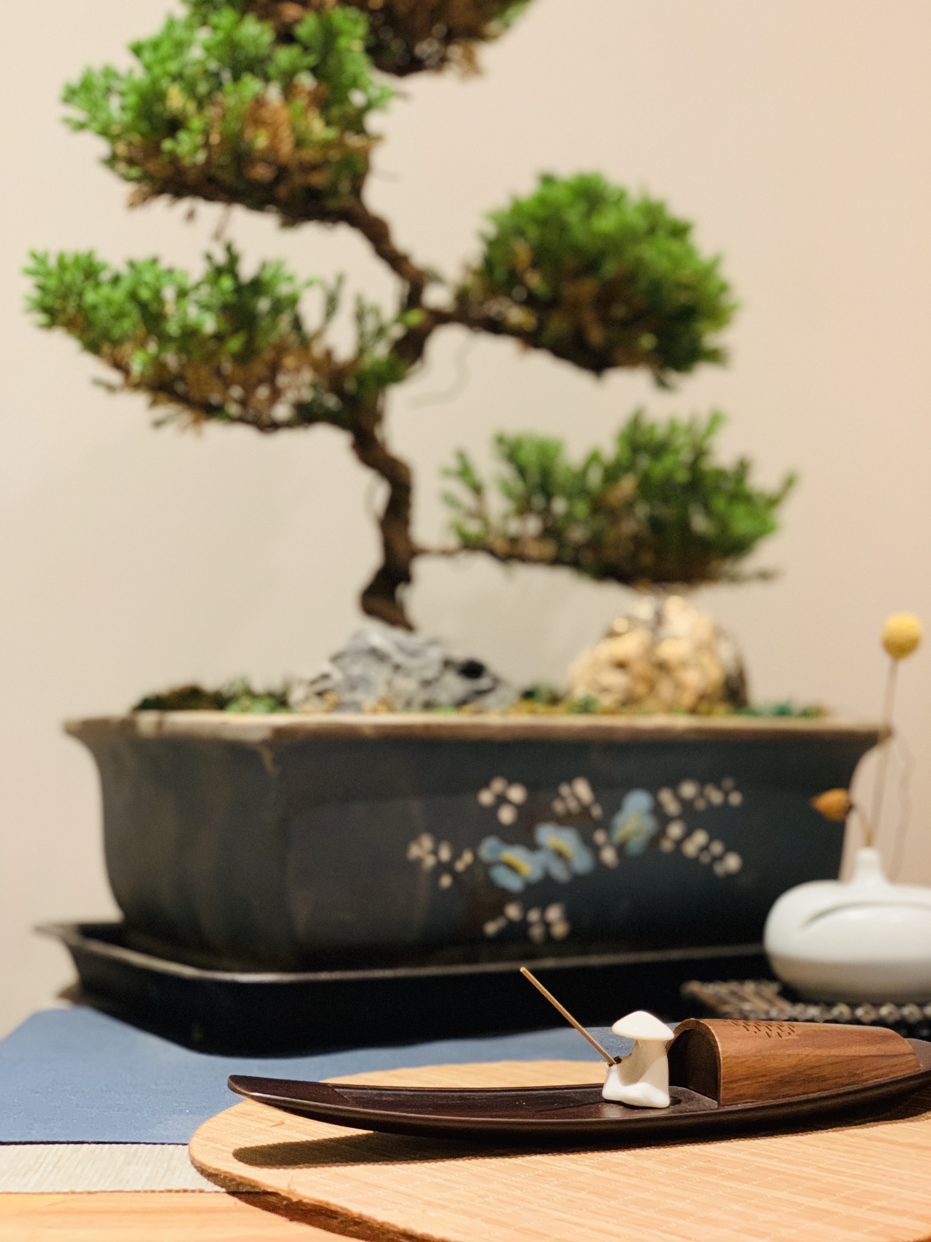 新绎七修消费特点,新绎七修书院好不好