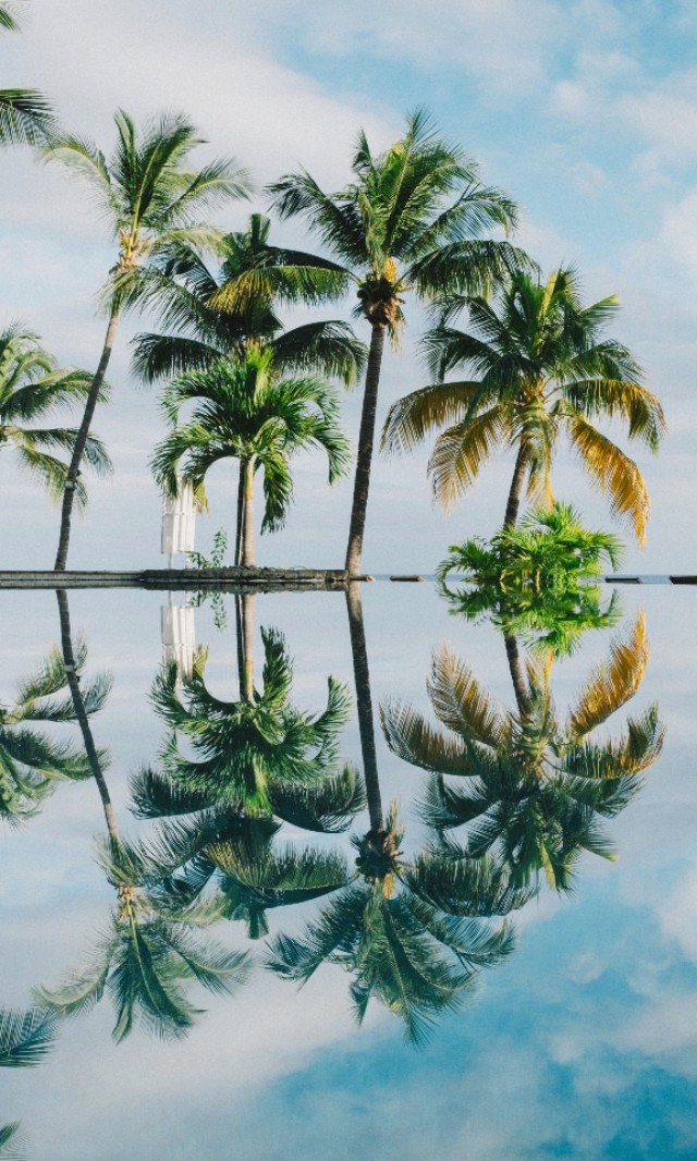 电脑壁纸萌宠超清4k原图,城市风景插画4k高清壁纸