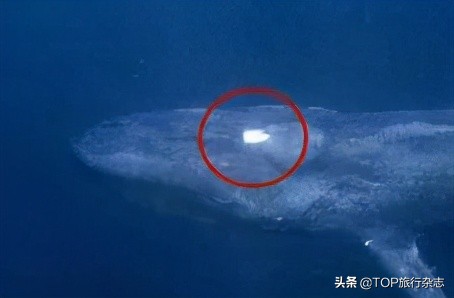 北海游玩观鲸,广西观鲸