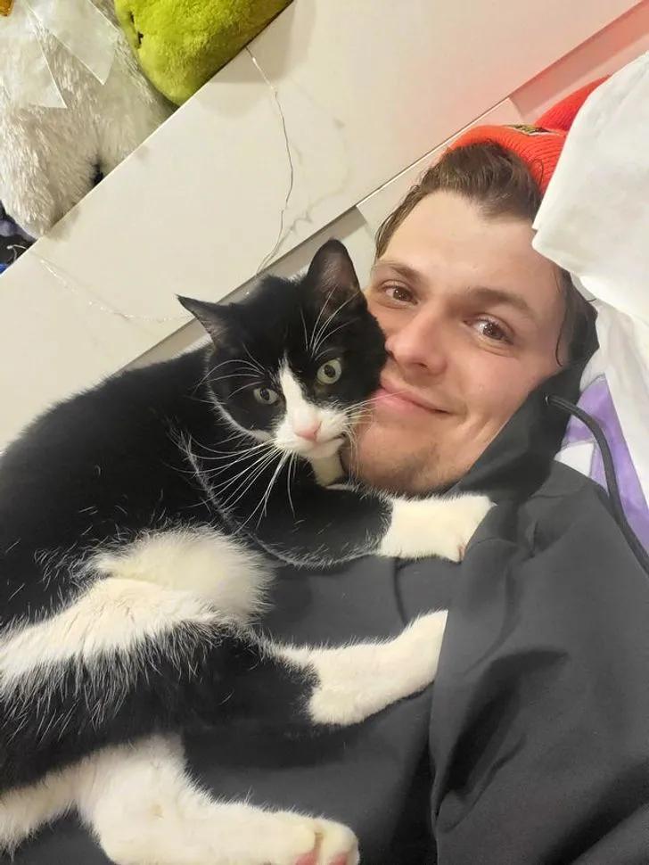 猫咪喜欢在你身上睡觉是什么表现,猫咪为什么爱睡觉呢