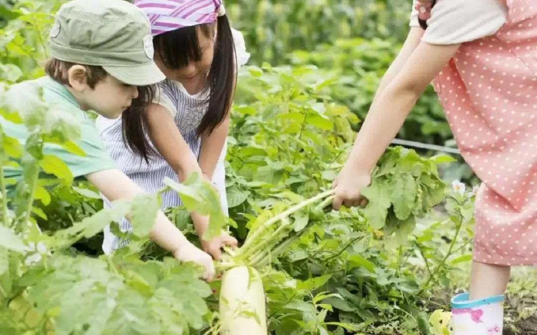 惠州南昆山不花钱旅游攻略,惠州旅游攻略推荐一下