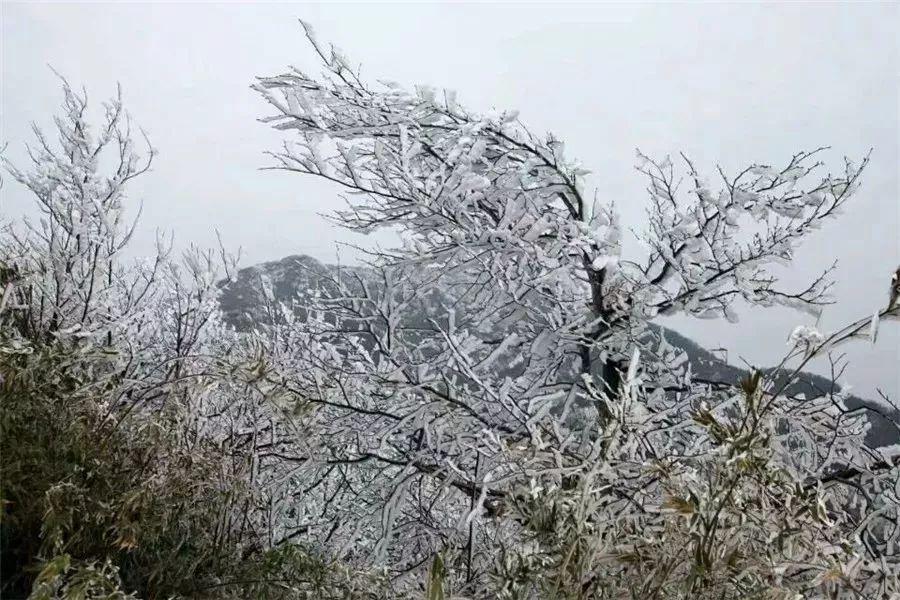 春节旅游贵州自由行最佳去处,贵州春节旅游攻略自由行线路推荐