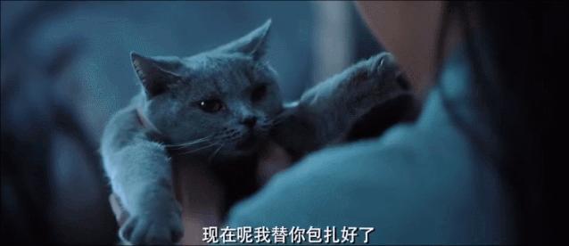 国产聊斋新电影,最新上映的电影聊斋