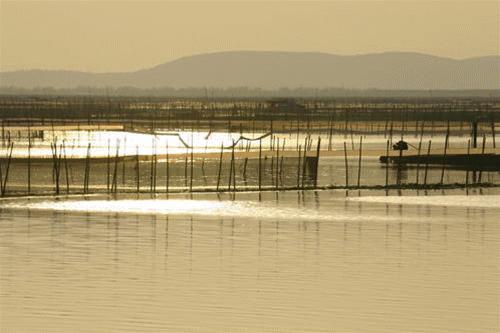 抓蟹的方法和技巧,捉山蟹的方法