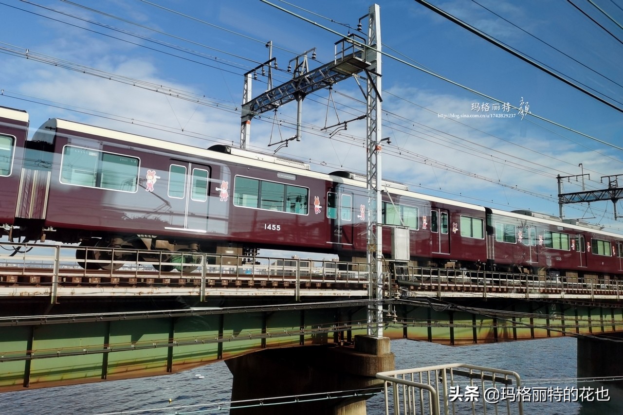 萁田森林公园和大阪的省钱之旅|行摄日本